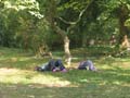 205IMG_3302